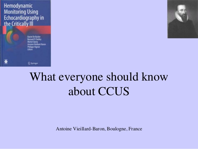 What everyone should know about CCUS